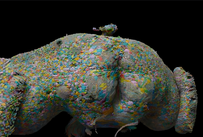 马斯克评论复制果蝇神经元的广泛讨论