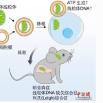 生物技术