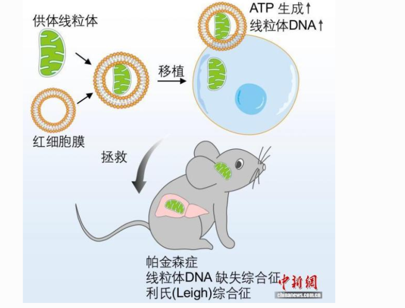 生物技术